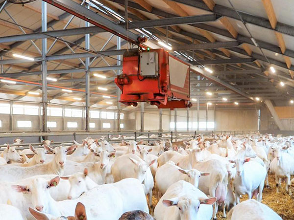 Animal husbandry and the application of air filters